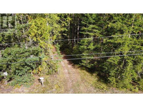 3848 Rock Island Road, Nakusp, BC - Outdoor