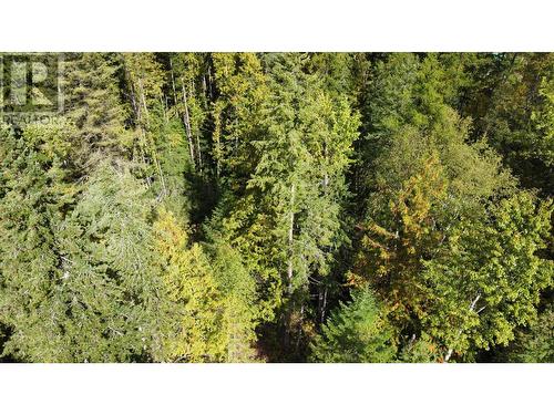 3848 Rock Island Road, Nakusp, BC - Outdoor