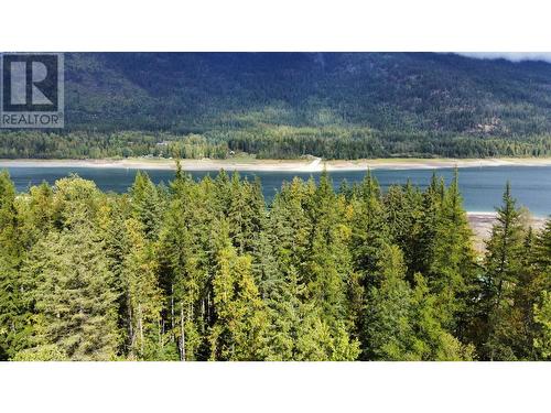 3848 Rock Island Road, Nakusp, BC - Outdoor With Body Of Water With View