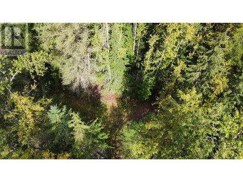 3848 Rock Island Road, Nakusp, BC - Outdoor