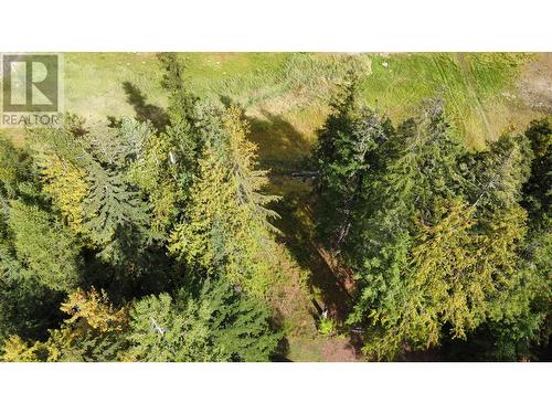 3848 Rock Island Road, Nakusp, BC - Outdoor With View