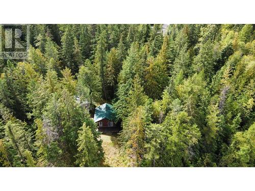 3848 Rock Island Road, Nakusp, BC - Outdoor With View