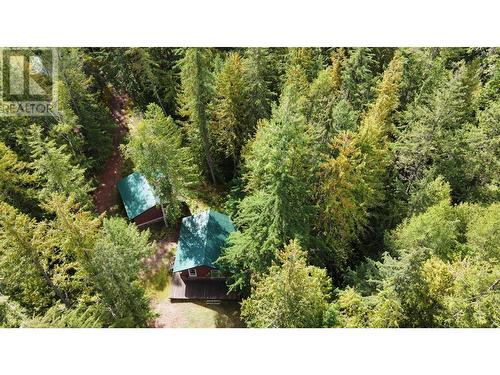 3848 Rock Island Road, Nakusp, BC - Outdoor