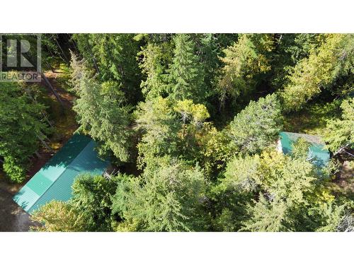 3848 Rock Island Road, Nakusp, BC - Outdoor