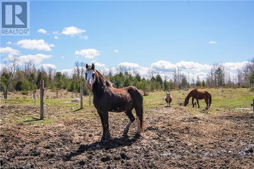 315421 Highway 6, Chatsworth (Twp), ON - Outdoor With View