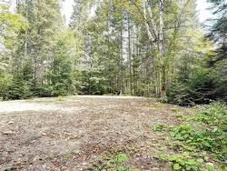 Land/Lot - 