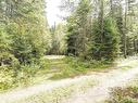 Land/Lot - 53E Rue, Saint-Côme, QC 