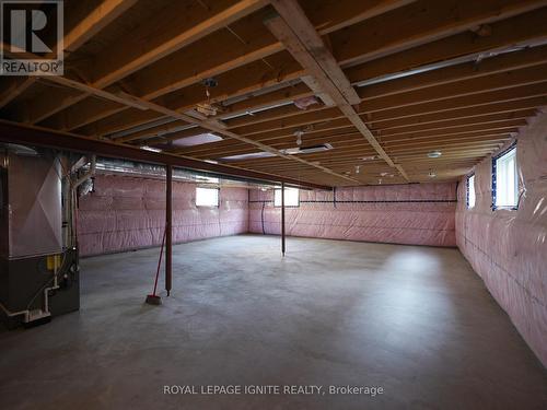 16 Braeburn Street, Brighton, ON - Indoor Photo Showing Basement