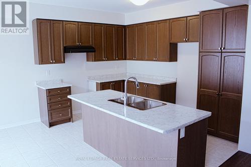 76 Cooke Avenue, Brantford, ON - Indoor Photo Showing Kitchen With Double Sink