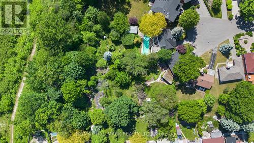 31 Beaucourt Road, Toronto (Stonegate-Queensway), ON - Outdoor With View