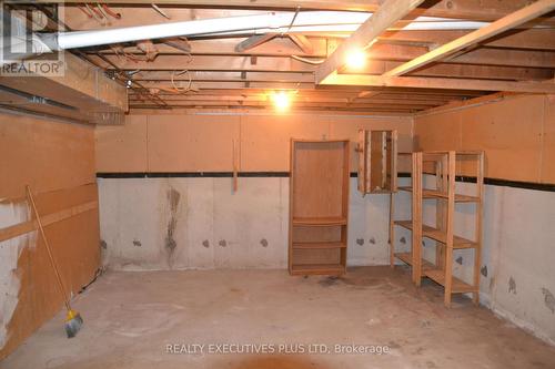 1002 Elizabeth Place N, Oakville (Iroquois Ridge South), ON - Indoor Photo Showing Basement