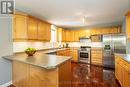 1756 Birchwood Drive, London, ON  - Indoor Photo Showing Kitchen With Stainless Steel Kitchen 