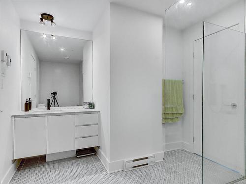 Ensuite bathroom - 514-2175 Rue St-Patrick, Montréal (Le Sud-Ouest), QC - Indoor