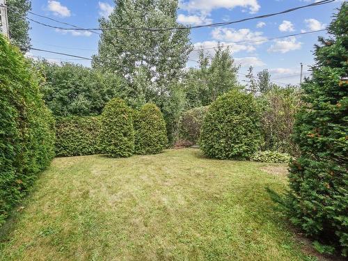 Backyard - 119 Av. Sedgefield, Pointe-Claire, QC 