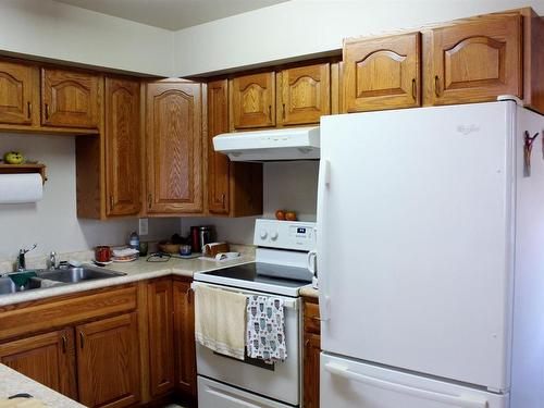 214 Third St, Rainy River, ON - Indoor Photo Showing Kitchen