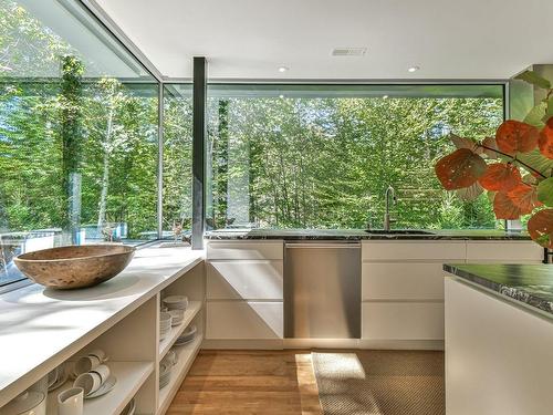 Kitchen - 77 Ch. Godefroy, Sainte-Anne-Des-Lacs, QC 