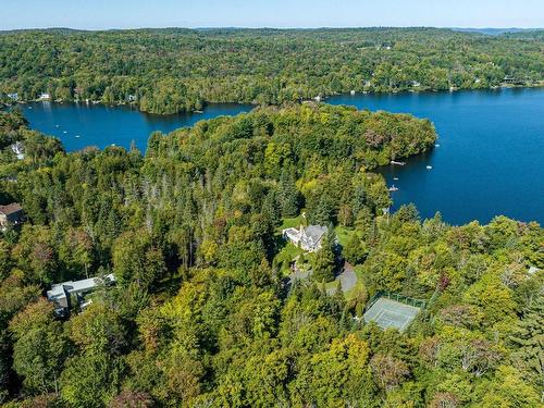 Vue d'ensemble - 77 Ch. Godefroy, Sainte-Anne-Des-Lacs, QC 