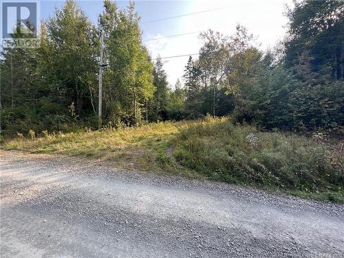 Vacant Lot Hurley Road, Harvey, NB 