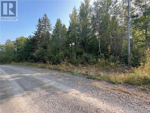 Vacant Lot Hurley Road, Harvey, NB 