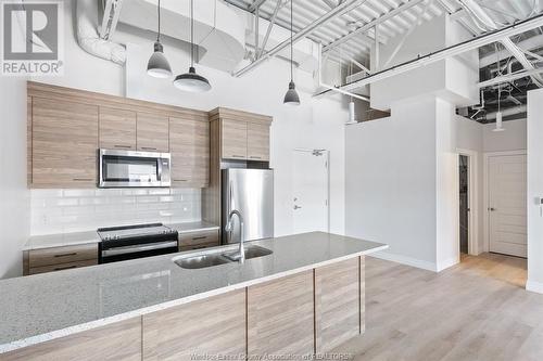 5841 Malden Square Unit# 206, Lasalle, ON - Indoor Photo Showing Kitchen With Double Sink With Upgraded Kitchen