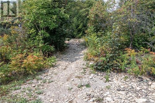 Water Access a short walk away - 399 Mallory Beach Road, South Bruce Peninsula, ON - Outdoor