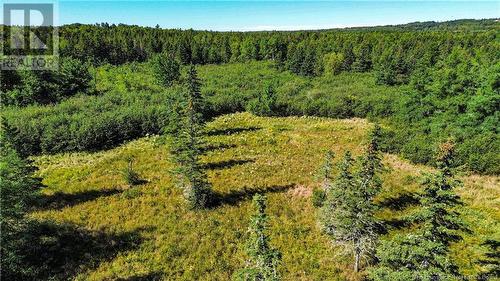 Lot Zack Road, Lutes Mountain, NB 