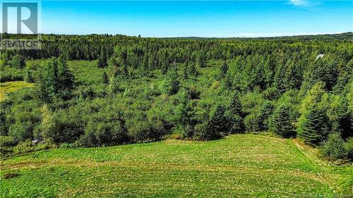 Lot Zack Road, Lutes Mountain, NB 