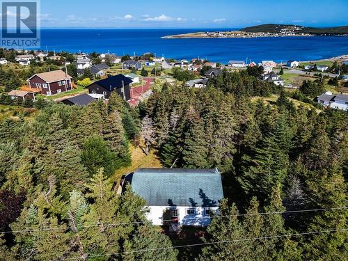 34 Double Hills Road, Heart'S Delight, NL - Outdoor With Body Of Water With View