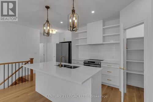 245 Mill Pond Place, Kingston, ON - Indoor Photo Showing Kitchen With Double Sink With Upgraded Kitchen