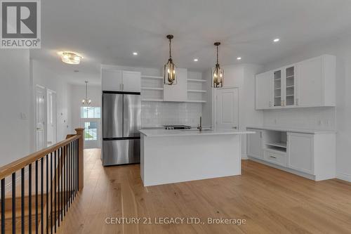 245 Mill Pond Place, Kingston, ON - Indoor Photo Showing Kitchen With Upgraded Kitchen