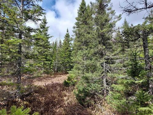 Lot 26 Andreas Popp Ln., Evanston, NS 