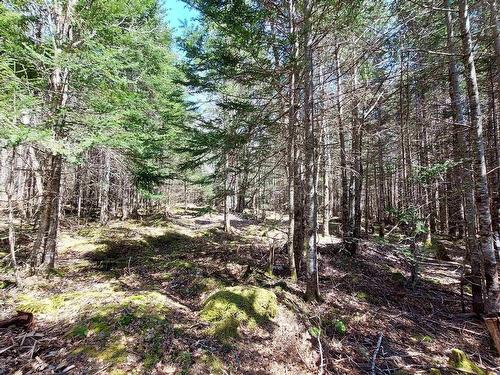 Lot 26 Andreas Popp Ln., Evanston, NS 