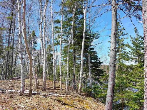 Lot 21A Jonathan R Bouman Ln, Evanston, NS 