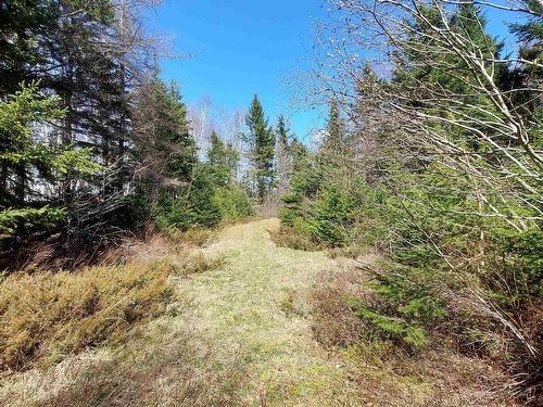 Lot 21A Jonathan R Bouman Ln, Evanston, NS 