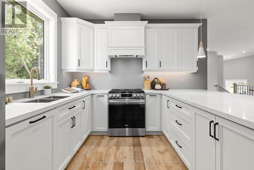 10 King Street, Kawartha Lakes, ON - Indoor Photo Showing Kitchen With Double Sink With Upgraded Kitchen