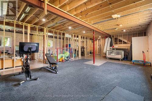 10 King Street, Kawartha Lakes, ON - Indoor Photo Showing Gym Room