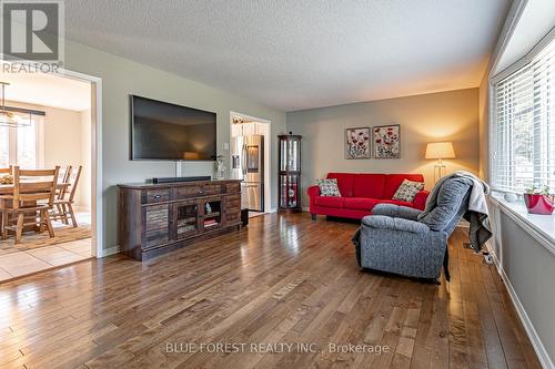 122 St. Clair Crescent, London, ON - Indoor Photo Showing Living Room