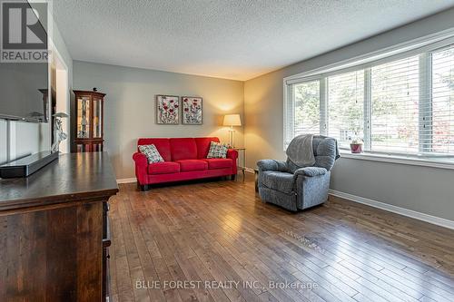 122 St. Clair Crescent, London, ON - Indoor Photo Showing Living Room