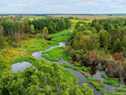 335093 7Th Line, Amaranth, ON 