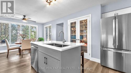 10 Mountainview Crescent, London, ON - Indoor Photo Showing Kitchen With Double Sink