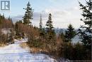 Owen Court, Wilsons Beach, NB 