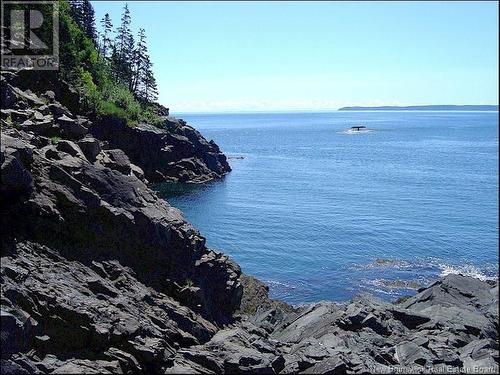 Owen Court, Wilsons Beach, NB 