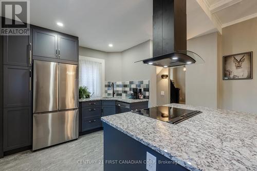 170 Langarth Street E, London, ON - Indoor Photo Showing Kitchen