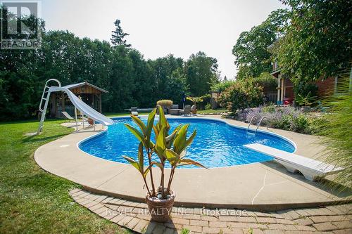 386 Maple Avenue S, Brant, ON - Outdoor With In Ground Pool With Backyard