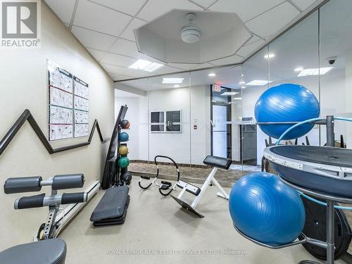 Unit 8 - 284 Mill Road, Toronto (Markland Wood), ON - Indoor Photo Showing Gym Room