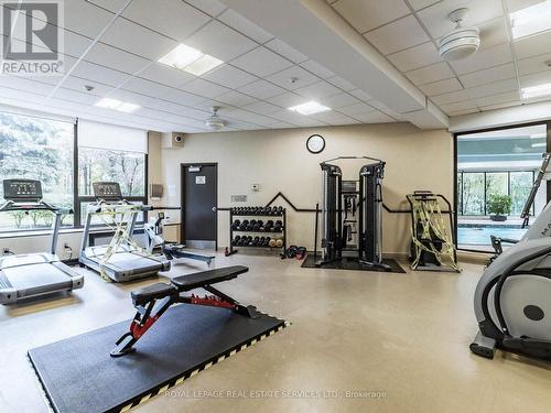 Unit 8 - 284 Mill Road, Toronto (Markland Wood), ON - Indoor Photo Showing Gym Room