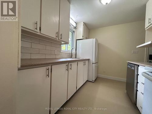 238 Cedar Street, Cambridge, ON - Indoor Photo Showing Kitchen