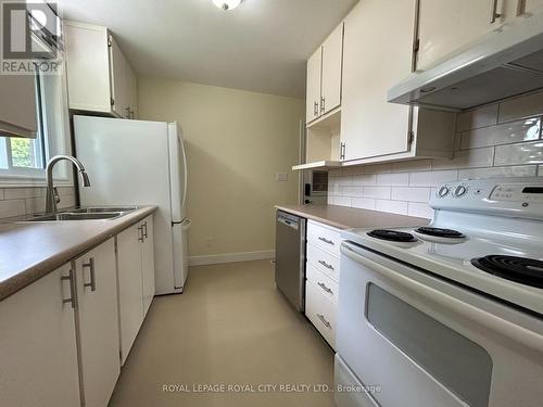 238 Cedar Street, Cambridge, ON - Indoor Photo Showing Kitchen With Double Sink