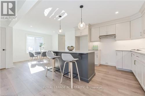 518 Newfoundland Street, Wellington North (Mount Forest), ON - Indoor Photo Showing Kitchen With Upgraded Kitchen