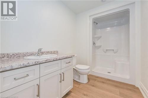 518 Newfoundland Street, Mount Forest, ON - Indoor Photo Showing Bathroom